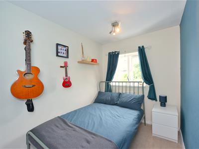 Picture 12
